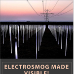 ELECTROSMOG MADE VISIBLE: Richard Box's FIELD