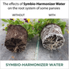 Symbio-Harmonizer Water